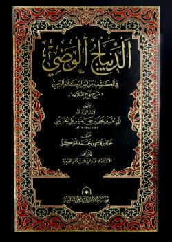 الديباج الوضي في الكشف عن اسرار كلام  الوصي ( شرح نهج البلاغة )